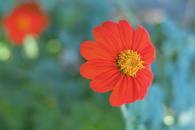 PG电子- PG模拟器「PG试玩游戏」官方平台网站